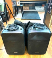 Click for large photo of Samson Auro