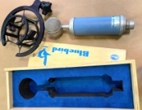 Click for large photo of Blue Buebird