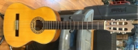Click for large photo of Yamaha CG101