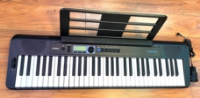 Click for large photo of Casio CT-S300
