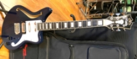 Click for large photo of D'Angelico Premier Bedford