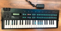 Click for large photo of Yamaha DX100