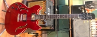 Click for large photo of Hamer Echotone