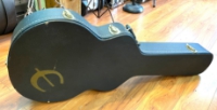 Click for large photo of Epiphone 335 Acoustic Case