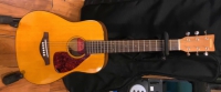 Click for large photo of Yamaha FGm Jr.