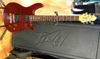 Click for large photo of Peavey Firenza