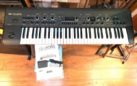 Click for large photo of Korg KingKORG