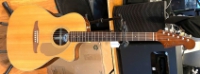 Click for large photo of Fender Newporter Player