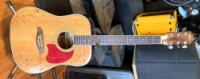 Click for large photo of Oscar Schmidt OG2 SM