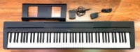 Click for large photo of Yamaha P-71