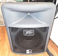 Click for large photo of Peavey PR-12