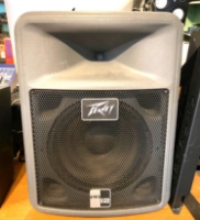 Click for large photo of Peavey PR12