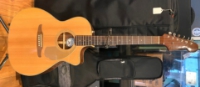 Click for large photo of Epiphone P44E