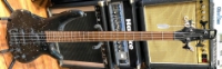 Click for large photo of Ibanez SDGR