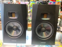 Click for large photo of Adam T7V