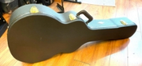 Click for large photo of Taylor Acousitc Guitar Case