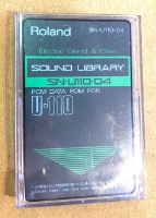 Click for large photo of Roland SN-U110-04 Electric Grand and Clav