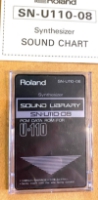 Click for large photo of Roland SN-U110-08 Synthesizer