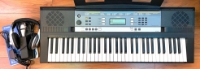 Click for large photo of Yamaha YPT-240